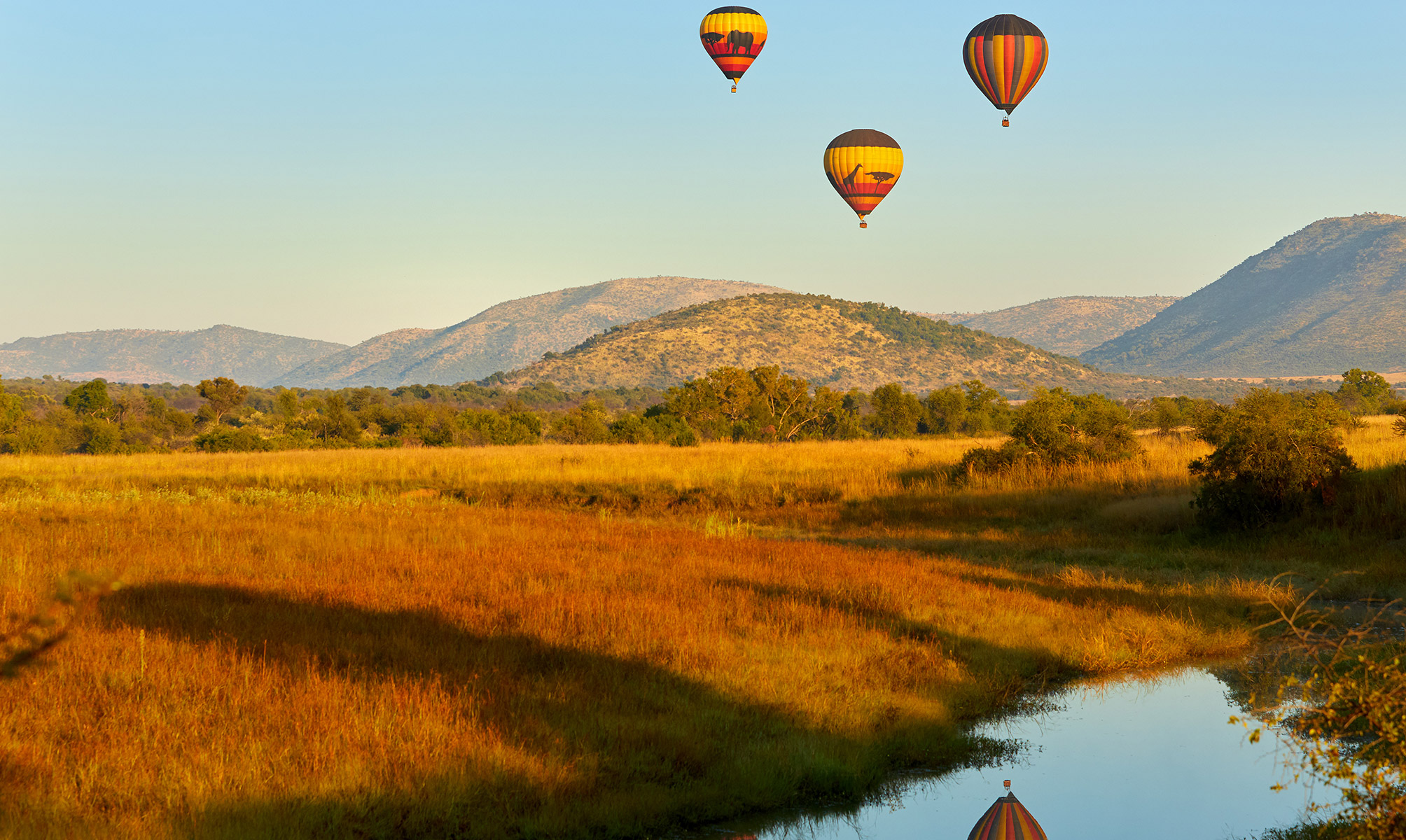 RESERVA DE PILANESBERG, AFRICA DO SUL